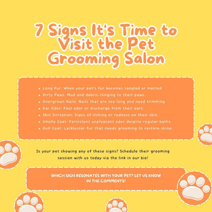 30 Pet Grooming Templates | Pet Care, Dog Grooming | Salon Marketing | Social Media Planner, Analytics Guide | 800 Faceless Videos - Social Canvas