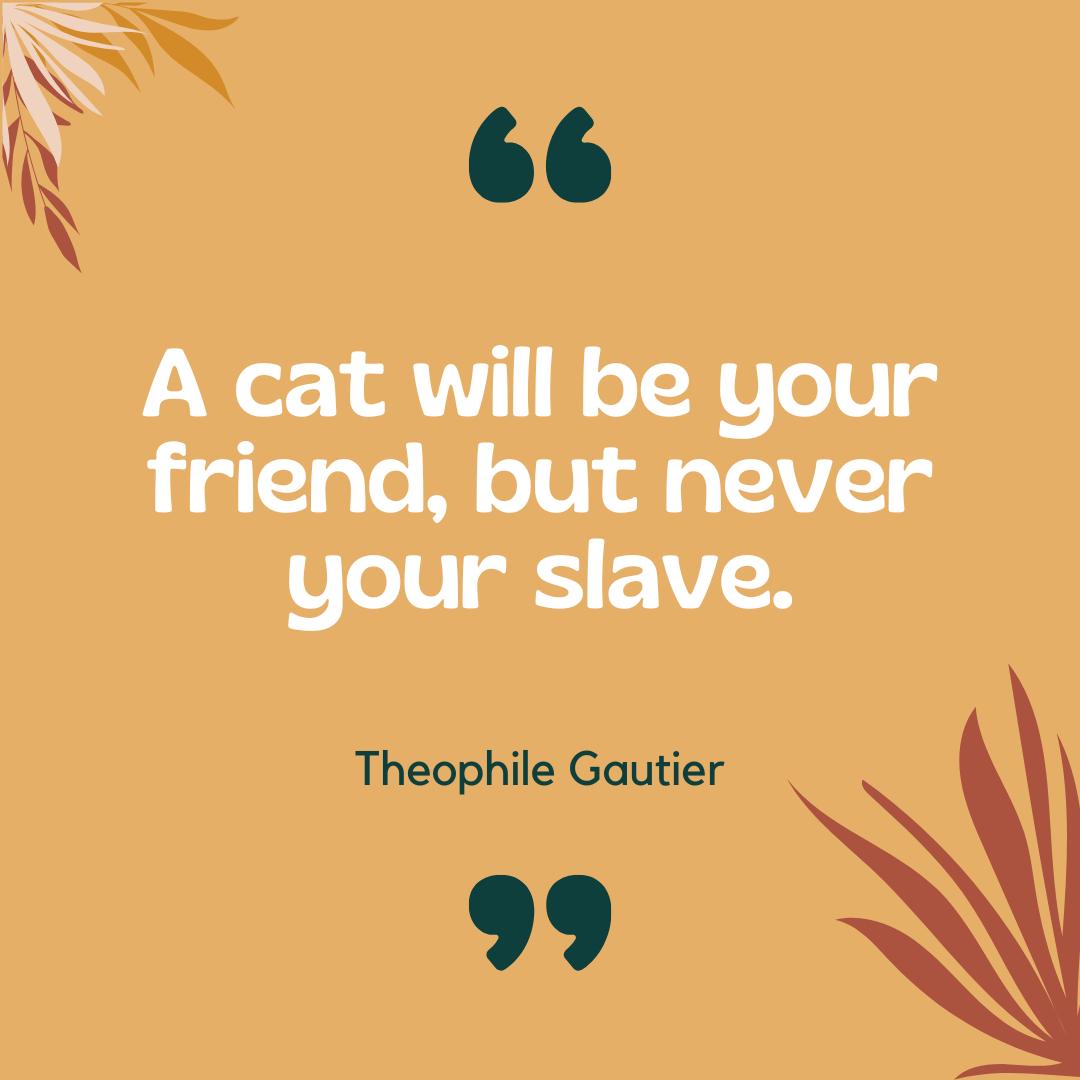 Pet Shop Canva Templates | Social Media Marketing Kit for Pet Stores and Animal Services | Pet Care and Promotion Posts | Digital Download - Social Canvas