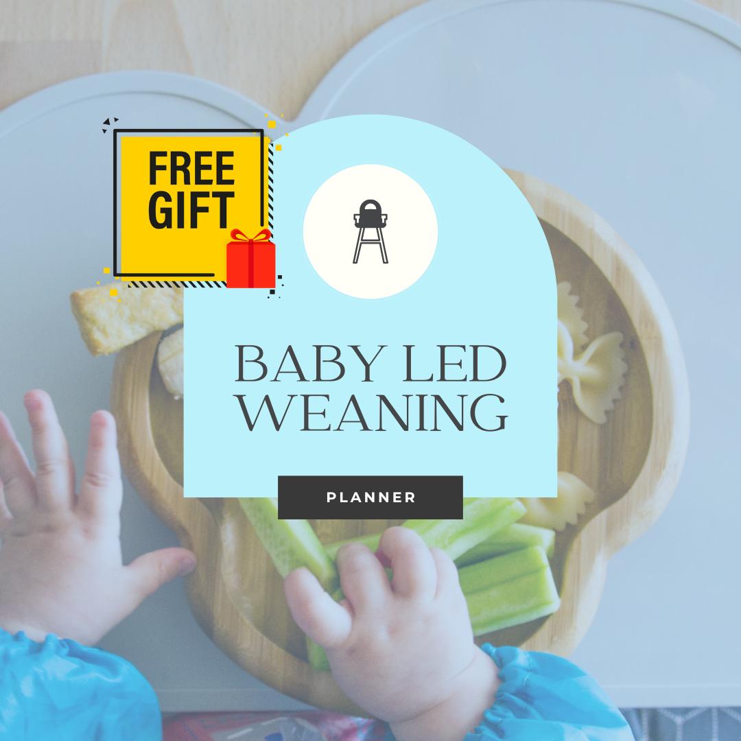 Baby-Led Weaning Planner Canva Editable | Digital Guide for First Foods, Meal Planning & Baby Nutrition | Free Letters to Baby Gift - Social Canvas