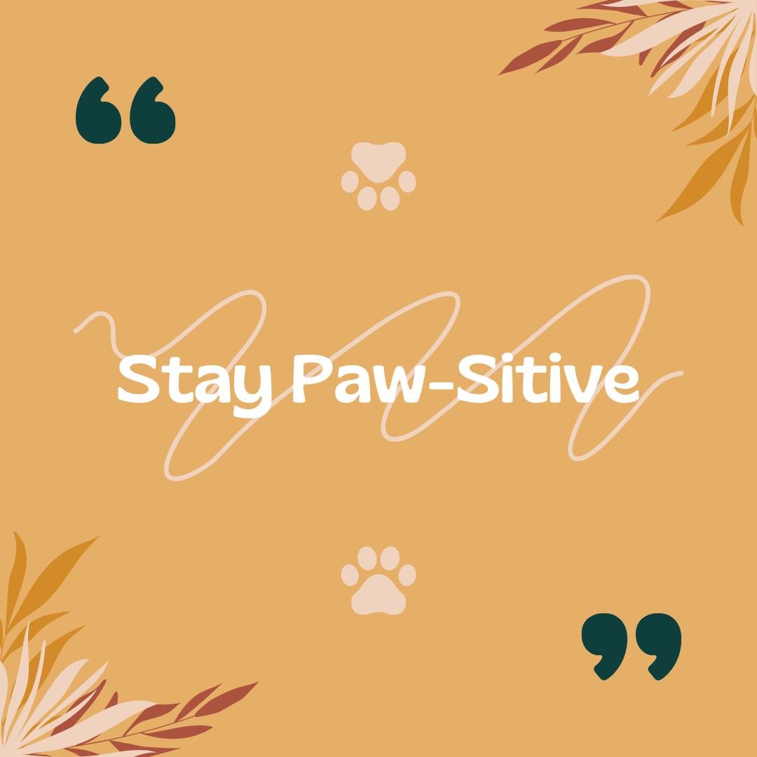 Pet Shop Canva Templates | Social Media Marketing Kit for Pet Stores and Animal Services | Pet Care and Promotion Posts | Digital Download - Social Canvas