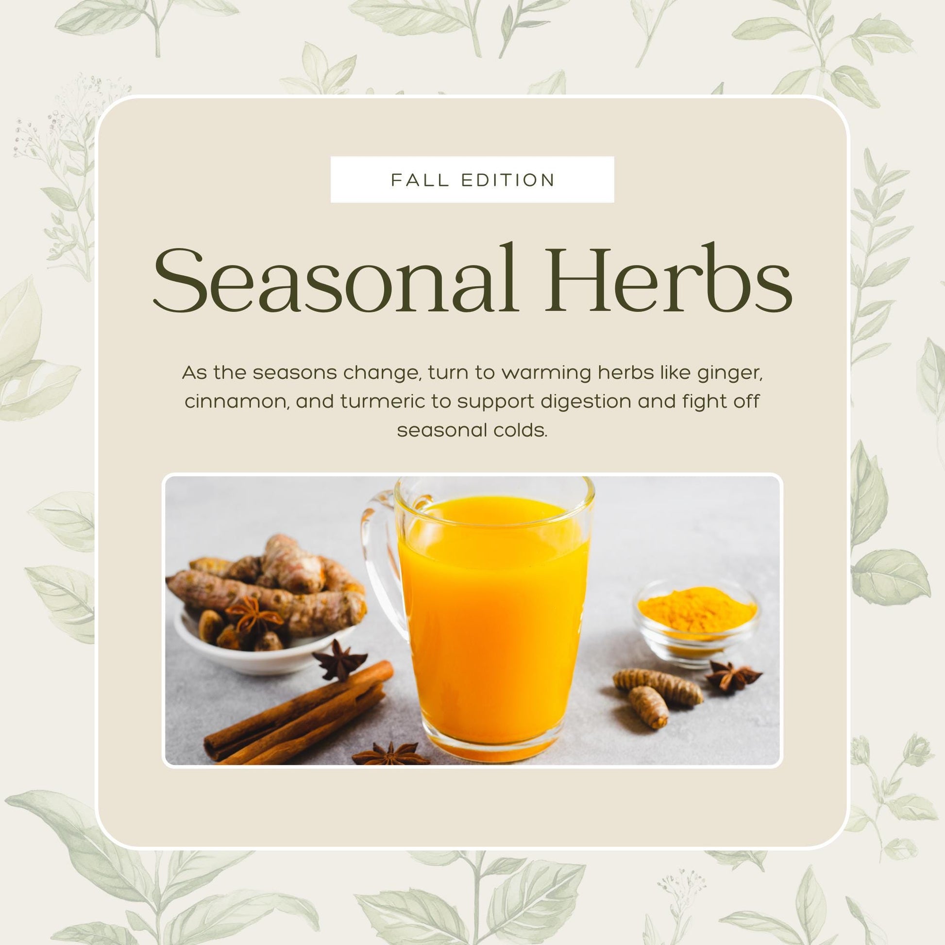 50 Herbal Wellness Social Media Templates | Editable Canva Templates | Holistic Health, Natural Remedies & Herbal Education - Social Canvas