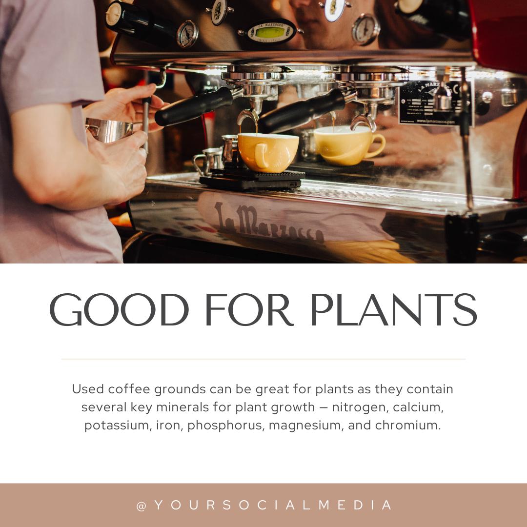 Coffee Shop Social Media Canva Templates | Café and Barista Marketing Kit | Social Media Planner, Analytics Guide - Social Canvas