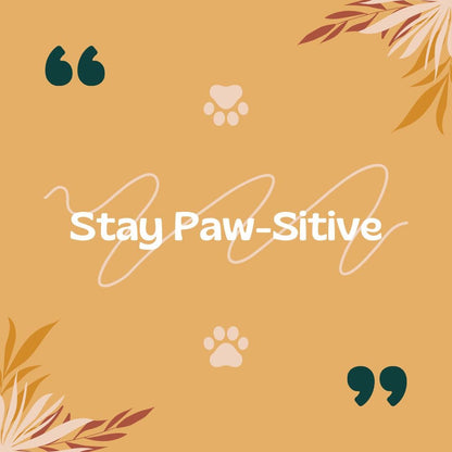 Pet Shop Canva Templates | Pet Stores and Animal Services | Pet Care and Promotion Posts | Social Media Planner, Analytics Guide - Social Canvas